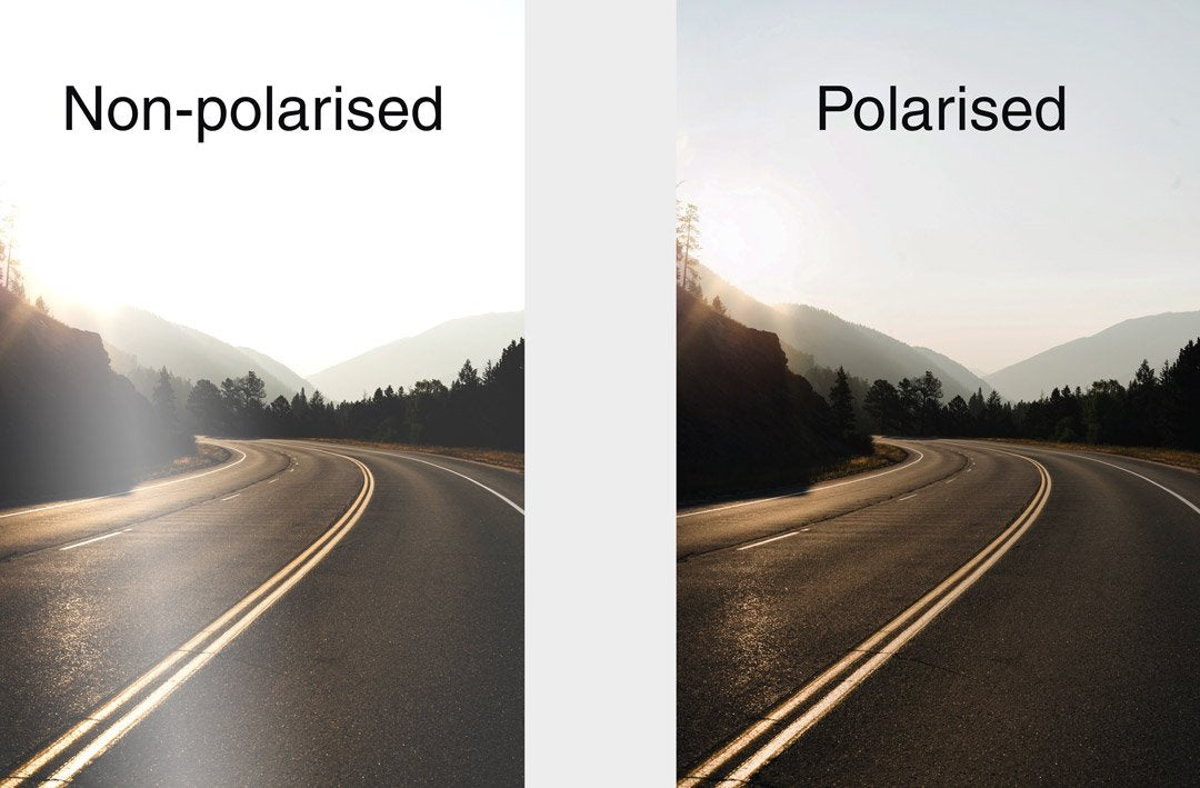 POLARISED SUNGLASSES