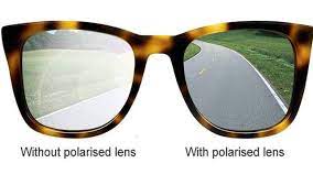 POLARISED SUNGLASSES